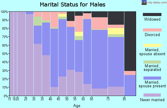 Noxubee County marital status for males