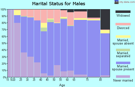 Boone County marital status for males
