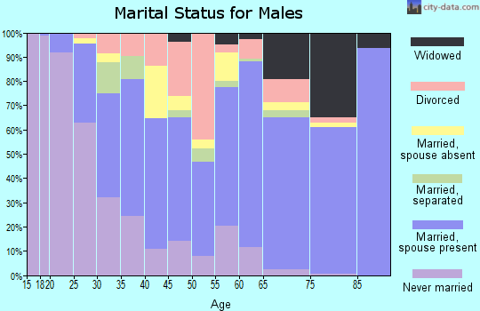 Elbert County marital status for males