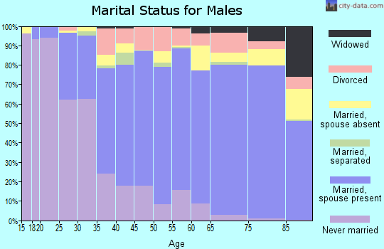 Nobles County marital status for males