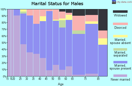 Valley County marital status for males