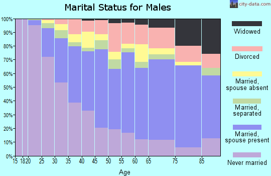 Sullivan County marital status for males