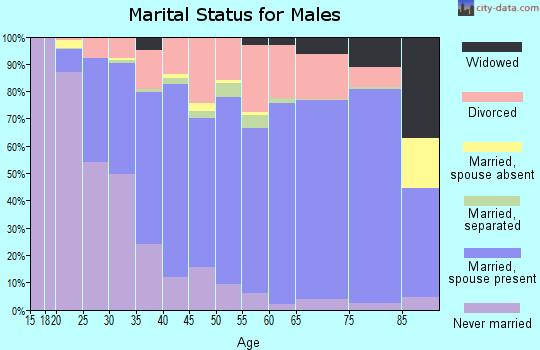 Meigs County marital status for males