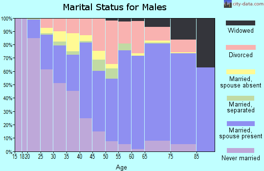 Lee County marital status for males