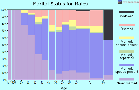 Maui County marital status for males