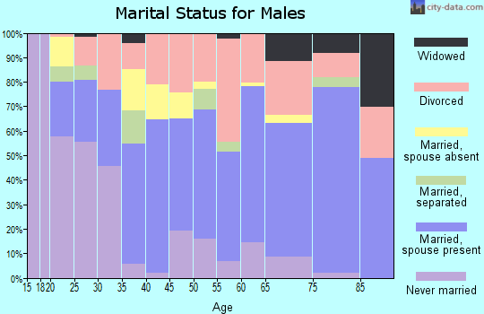 Saguache County marital status for males