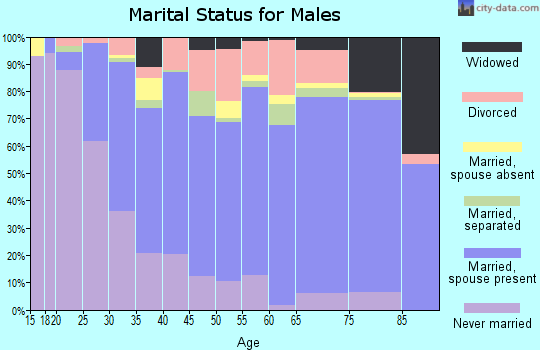 Louisa County marital status for males