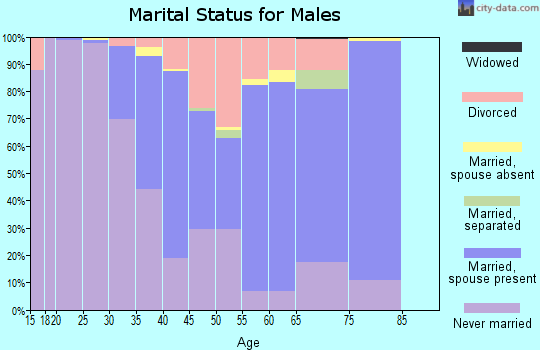 San Miguel County marital status for males