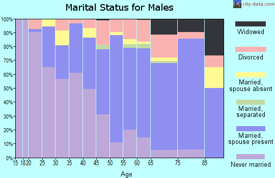 Sullivan County marital status for males