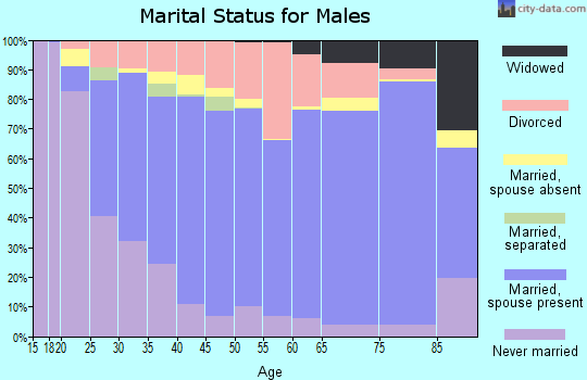Pope County marital status for males
