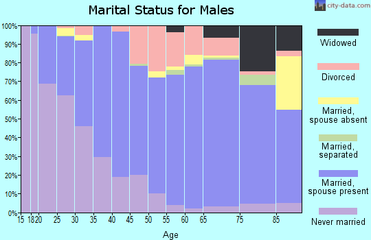 Spink County marital status for males
