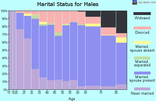 Macoupin County marital status for males