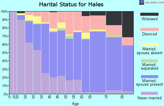 Suwannee County marital status for males