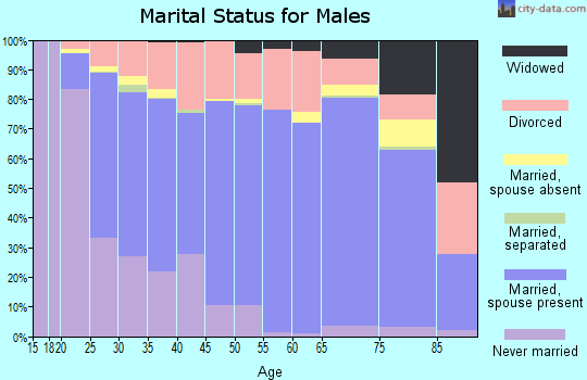 Macon County marital status for males