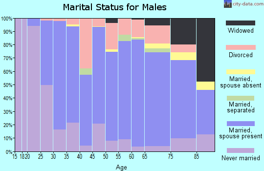 Bottineau County marital status for males