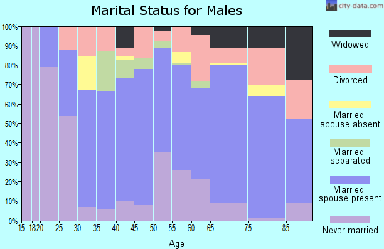 Leslie County marital status for males