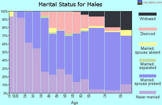 Ontonagon County marital status for males