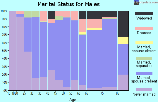 Rock County marital status for males