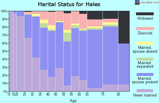 Amherst County marital status for males