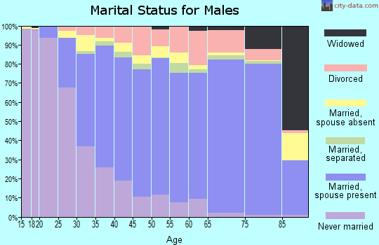 Gwinnett County marital status for males