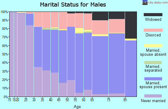 Brooke County marital status for males