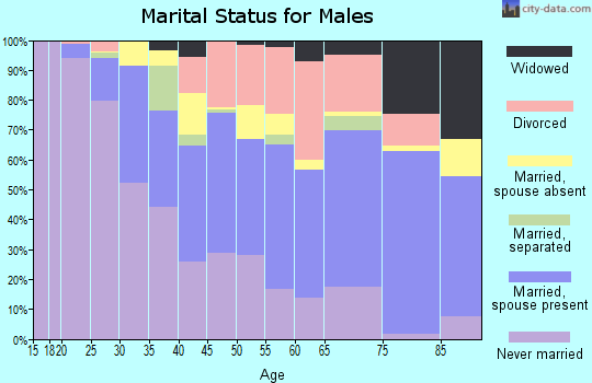 Nottoway County marital status for males