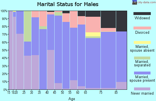Stone County marital status for males