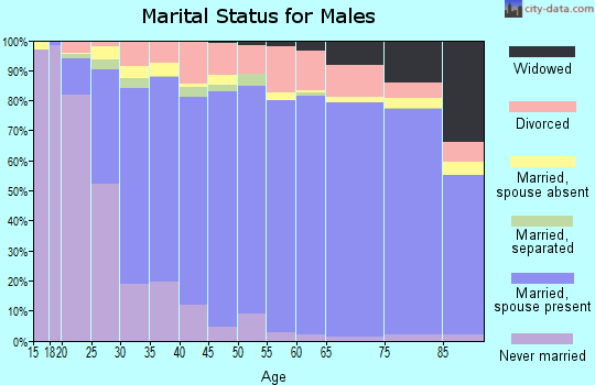 Ellis County marital status for males