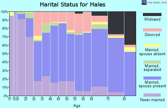 Page County marital status for males