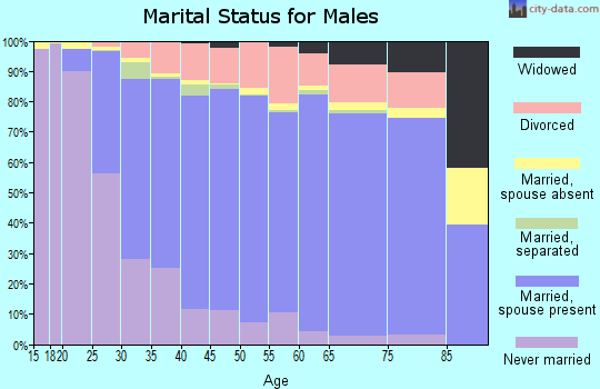 Sherburne County marital status for males