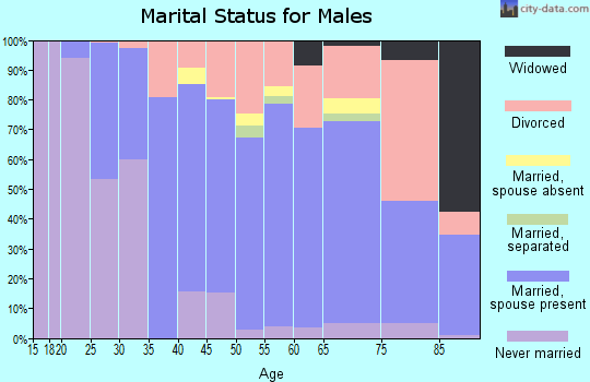 Beaverhead County marital status for males