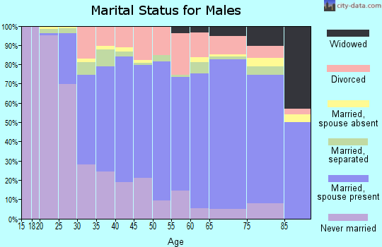 Pittsylvania County marital status for males