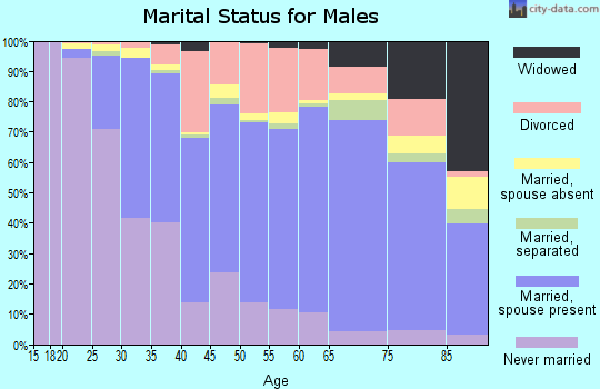 Saginaw County marital status for males