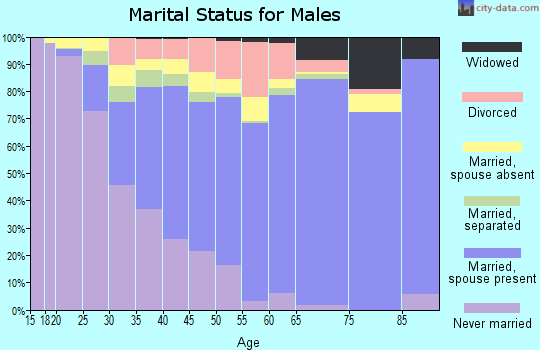 Powhatan County marital status for males