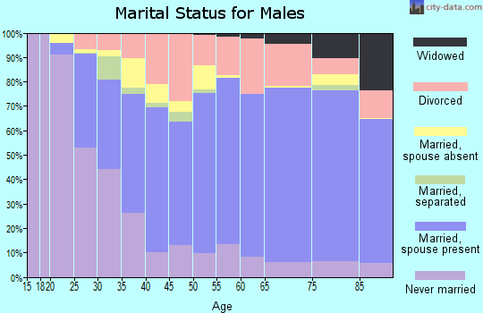 Nodaway County marital status for males
