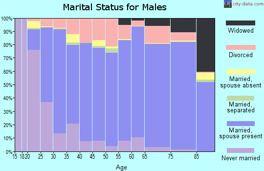Bingham County marital status for males