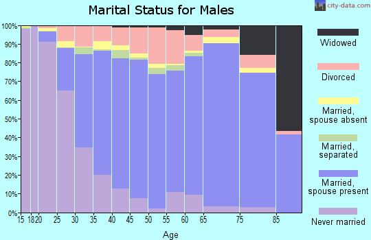 Henry County marital status for males