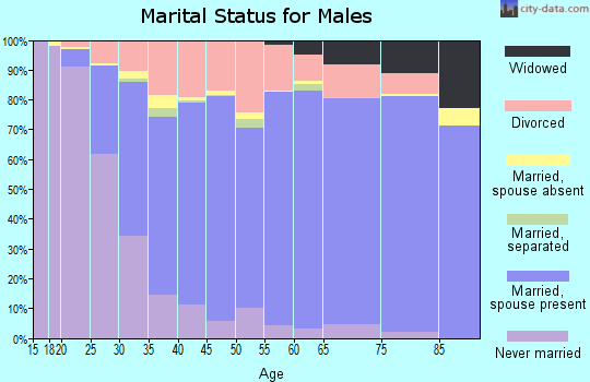 Steuben County marital status for males