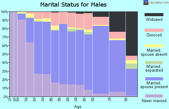 Polk County marital status for males