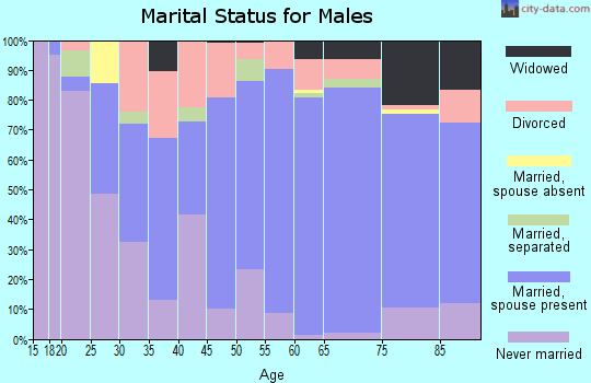 Magoffin County marital status for males