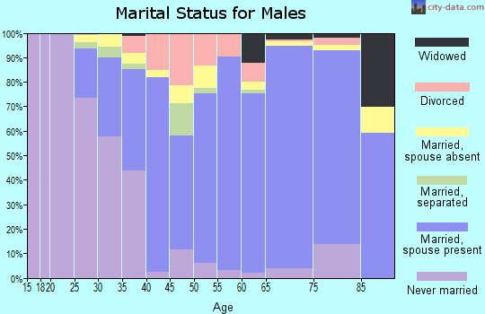 Irwin County marital status for males