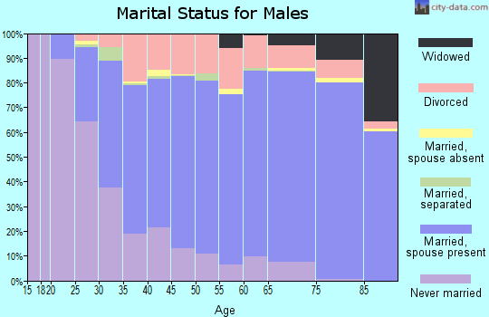 Shiawassee County marital status for males