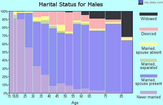 Roanoke County marital status for males