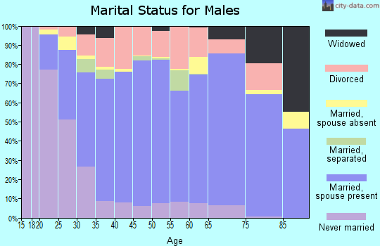Meade County marital status for males