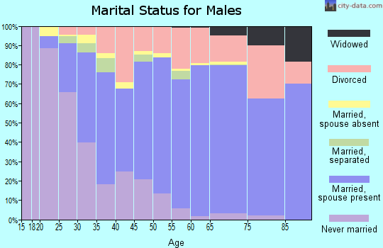 Churchill County marital status for males
