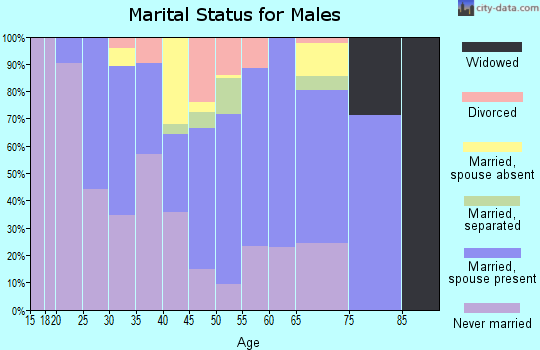 Lake and Peninsula Borough marital status for males