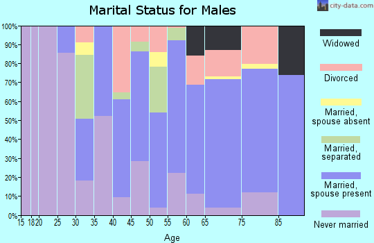 Jenkins County marital status for males