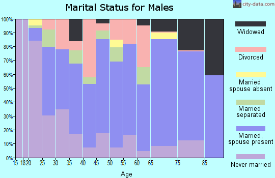 Menifee County marital status for males