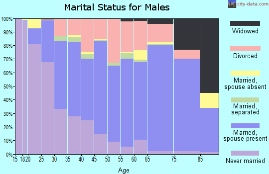 Wexford County marital status for males