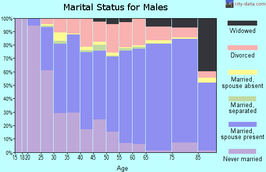 Sangamon County marital status for males